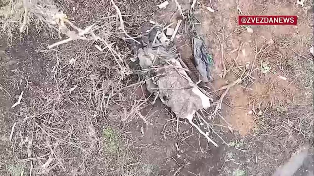 ���������� �������� ����� ����������� �������� FPV-������� ��� �����������