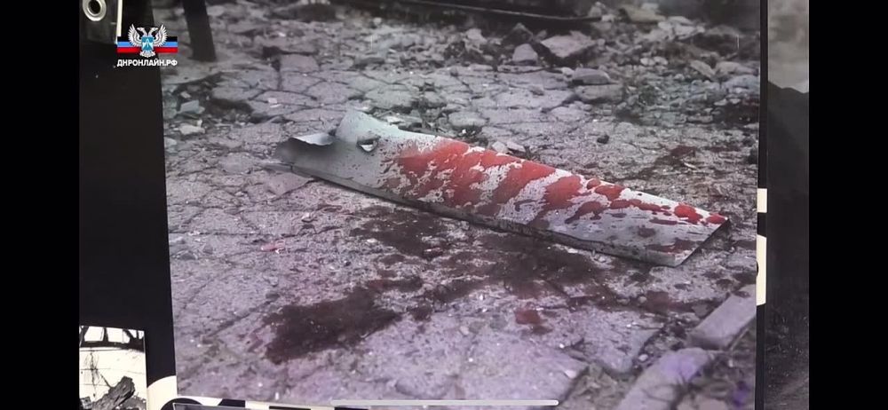 ������ ��������: � ��������� ������������ ������������ ����������� ����������