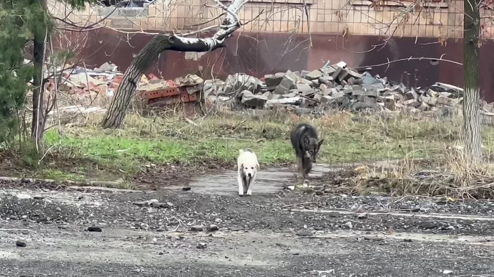 ������ ��������: �������� �� ���������. ������� 2023 ����.. ������� ������ ���������� ������������ ��������� �������� ���, ��� ������ ����� �� ������ ������ ��� ��� �� ����� ��� �������� ���� �����