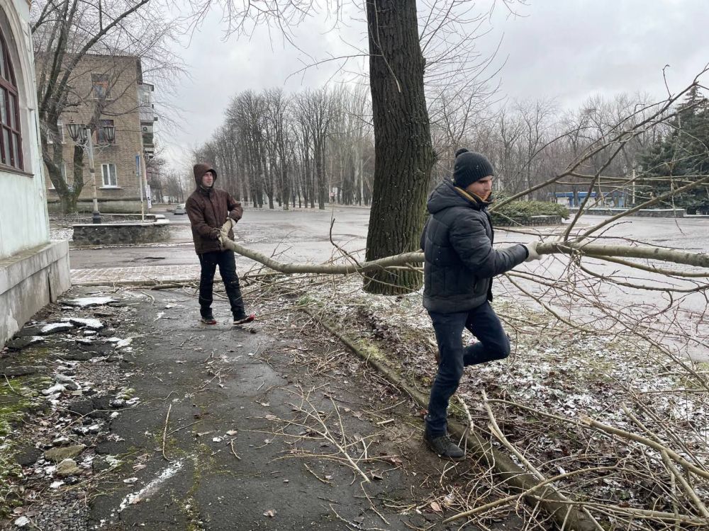 ������� ��������: ����������. �����������