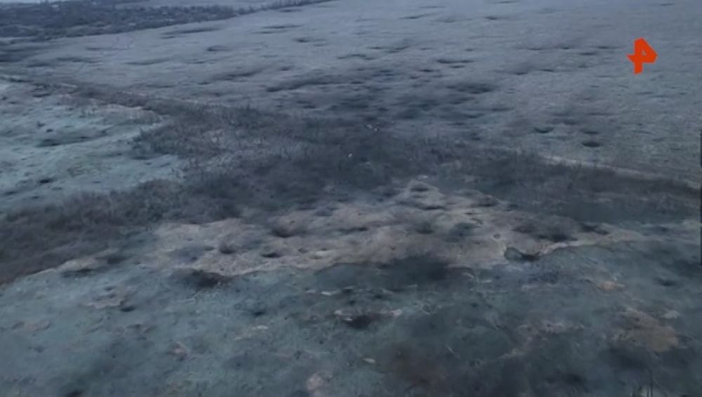 � ����� ������������ ��������� ����� ��������� ���� �� ��������