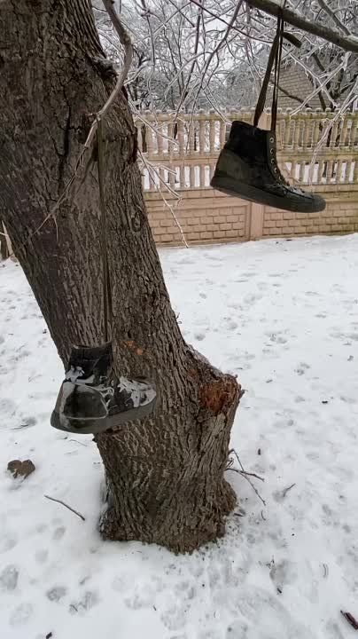 ������� ������: � ��������� "��������� ��������", ������� �� ����� �� ������������� ������� ���������� ���� �� �� �� ��� � �����������