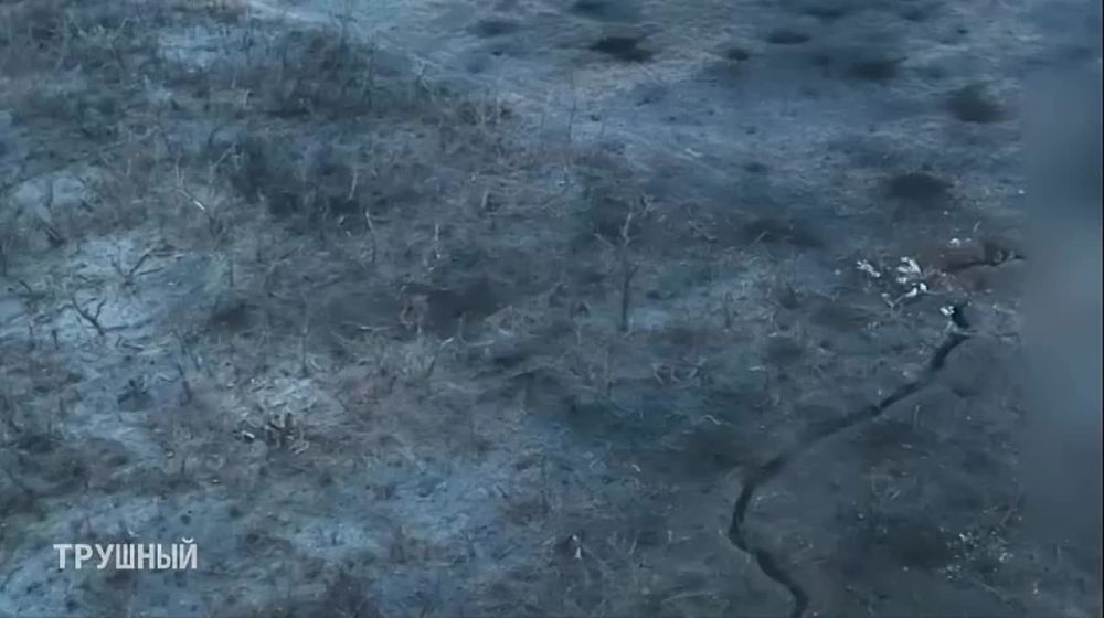 �������� �������: ��������� ��� �� ��������. @trueshniy