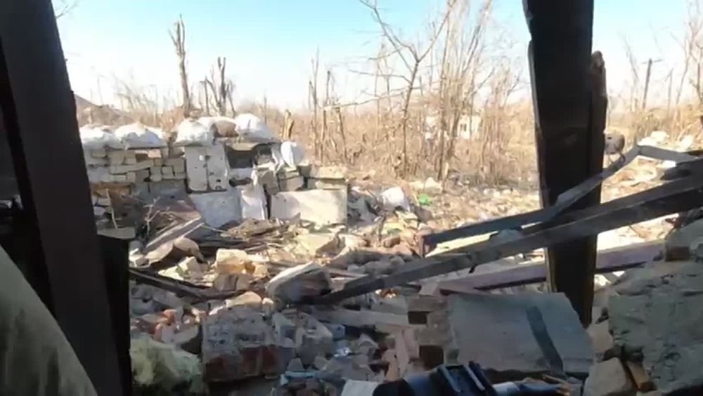 ������� ���������: ������������ � ��������. ����� ������ �������� ������ ��������� � ���� ����� ������. � ������ �� ������� �������� ����� �������� ������ �� ���� ����������� � nlaw