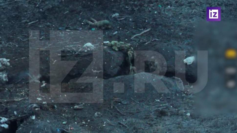 ���������� ������������ ����� ��������� ���� �� ��������