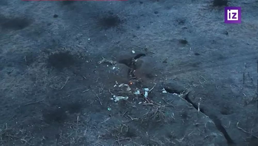 ������� ��������: ��� �������� ����� �� ��������
