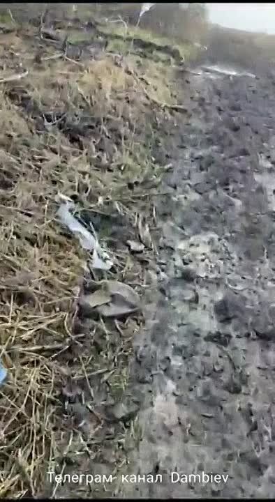 ������ �������: ������������ � ������ �.�. ��������� �� ����������� ����������� ���������� ��������������� Senator ������������ ��������� �������� Roshel � ���������������� YPR-765 ������������ ������������