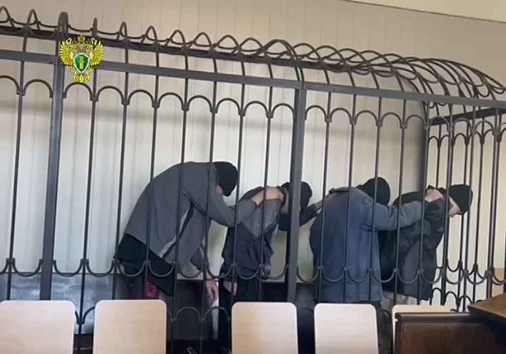 ��������� �������: ������ ���� ������ ����������..