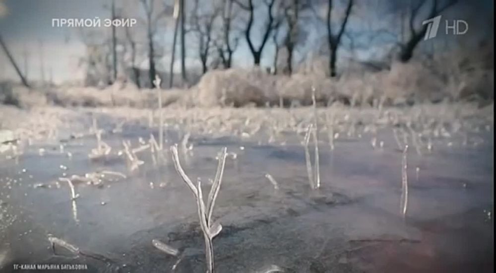 ������� �������: ����� �������� ����������� �����: