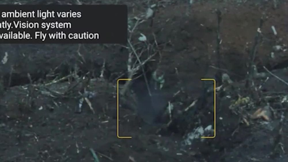 ������ ����������: ��������. ������� ���.