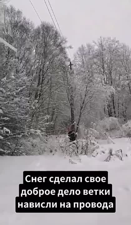 ����������� ���������� � ���� �������������� ���������������