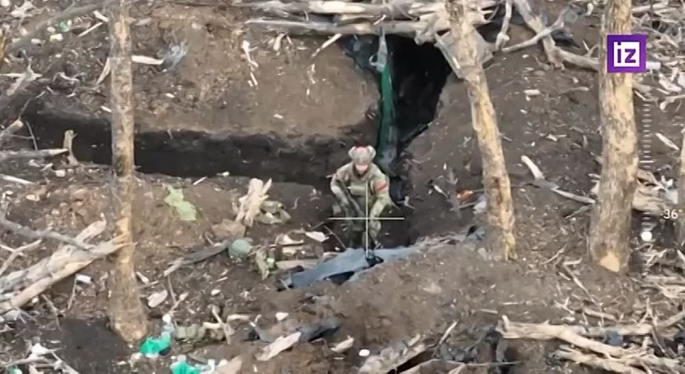 ������ ����������: ���� ��� ������ ���": ��� ����������� ���������� ����� ������������ ��� � ����������