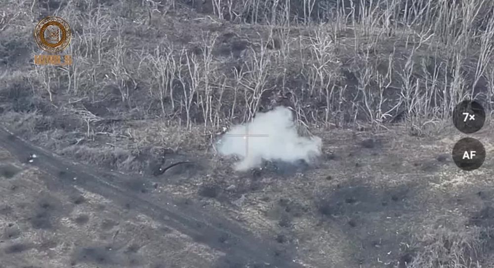 ������ �������: ����� "��������" �� �������� "�����" ��������� � ������� 4-� ������� 2-�� ���������� ������� � ���������� ������ ���������� ��������