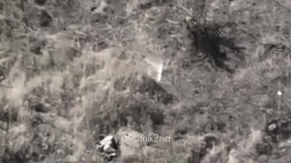 ������ ��������: ��������� �����������. ����� 2023. ���������� ��� ����������� �������� �������