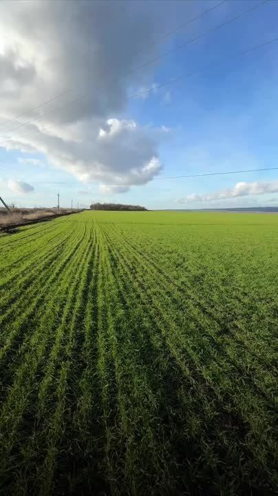 �������� � ������������� ������� ������� � �������� �������������� �������: ��������, ������ ����, �������� ������ �������������, ����������� � ������ ������