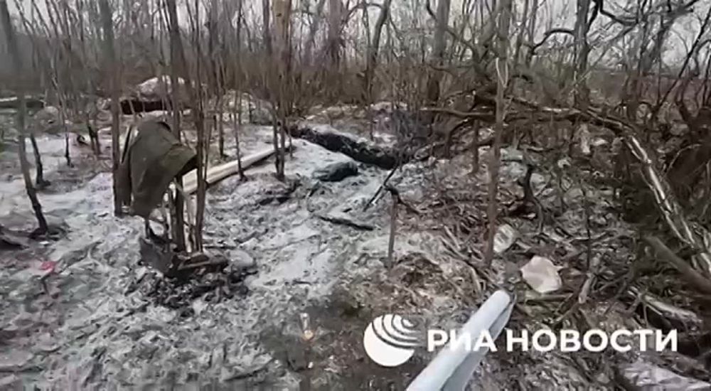 �������������� ����������� ���������������� ��������� ����� ������� ������������, ��������������� �� ������ ���������� �������������, ��������� ��� ������� � ������ ������������ ��� � ���