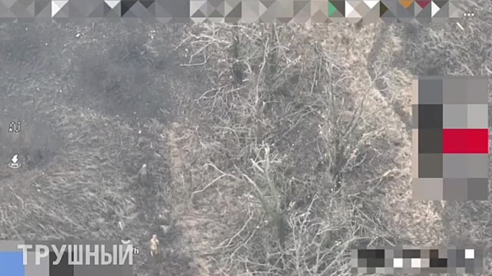 �������� �������: �������� ����� ������� - ��� ��� �� �����, �� �����-���