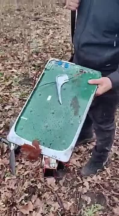 ����� �����: ��� ����� ����� �������� ���� �������� �� 5� ������� (���)