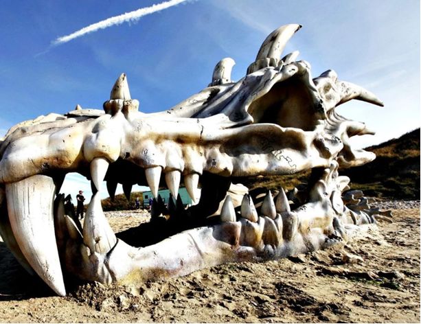 ���� ������� ������� ? ���� ���������