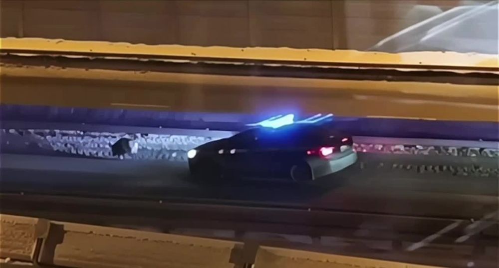 ����� �����: ���������� "����������� ��� �� ��������"