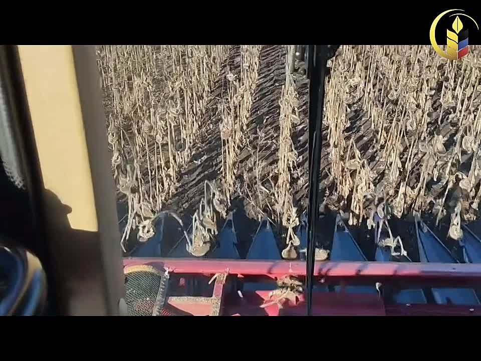 �������������������� ������� � ������, ������� ������� ���������� �������� ��� ��������� �� "�������������"