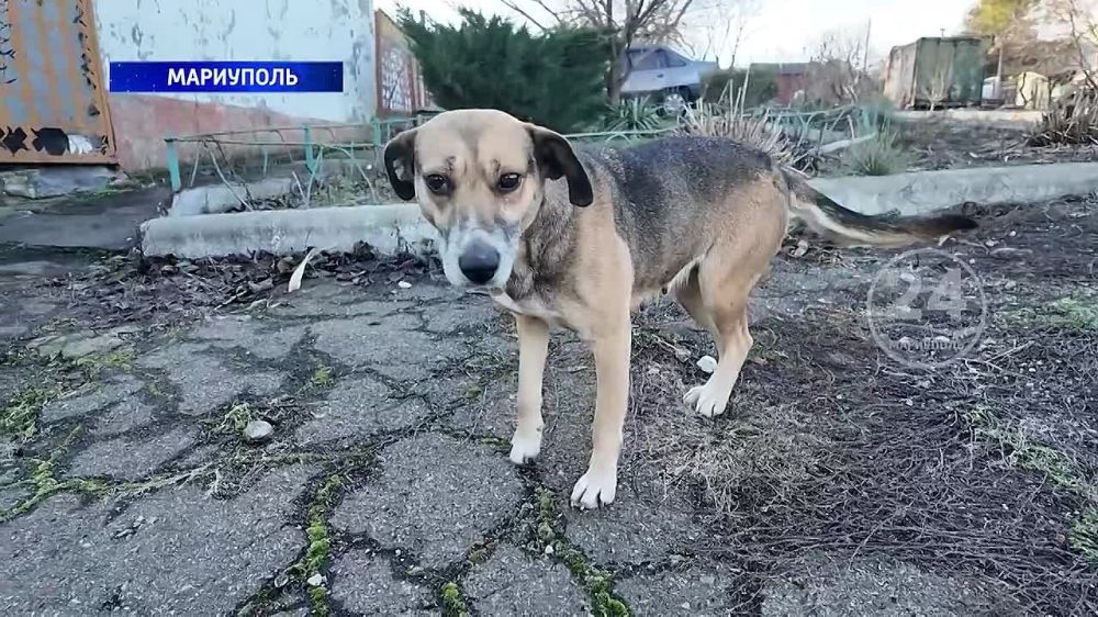 �������� �������� � ���� ����� ����������� ����� ������������� ���������