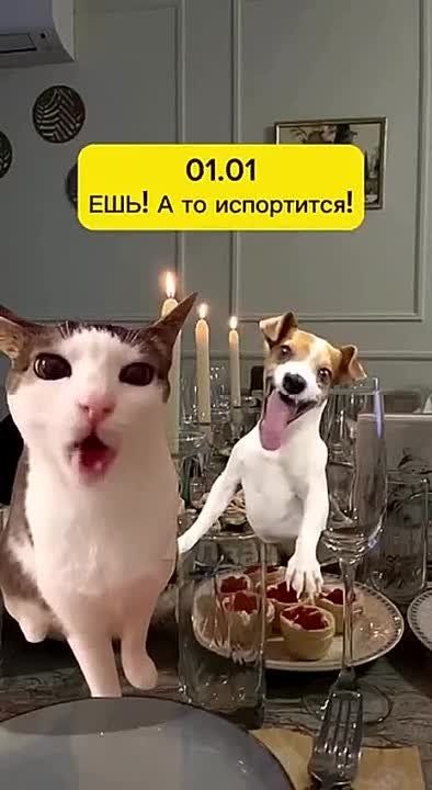 ������������ �������������� ��������