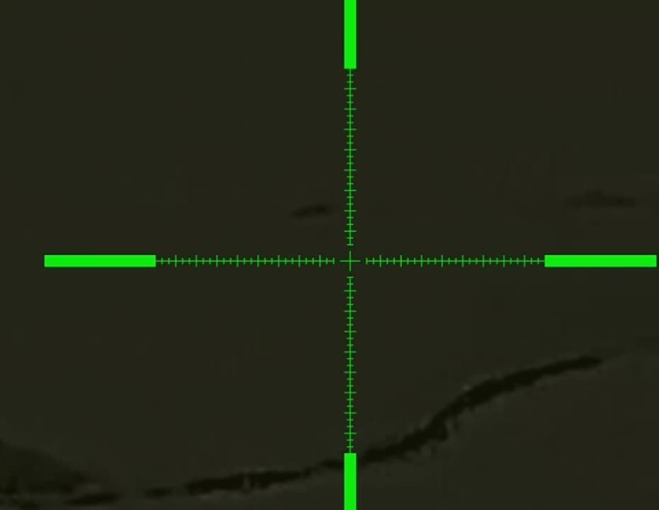 ������ �������: ������ ������ ���������-������������ �� �������� ����������� ������