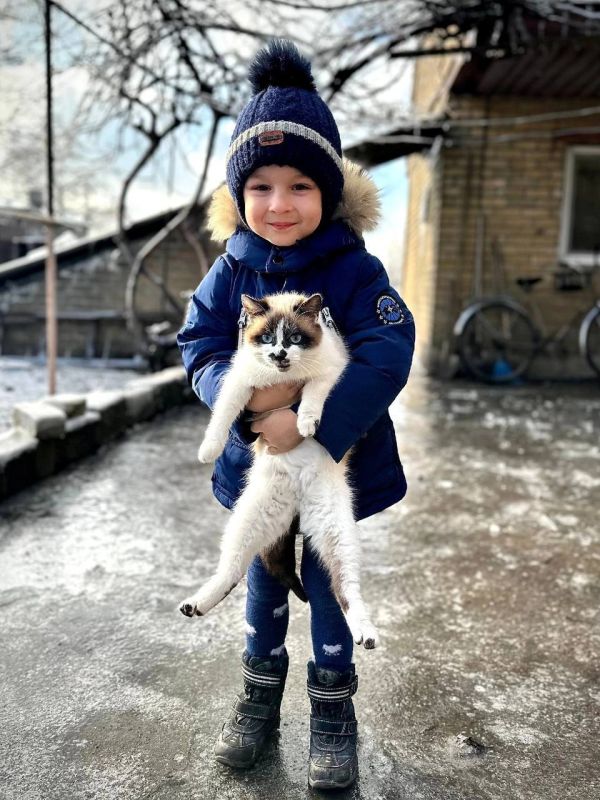 ������� �������: ������, ������ � �������: