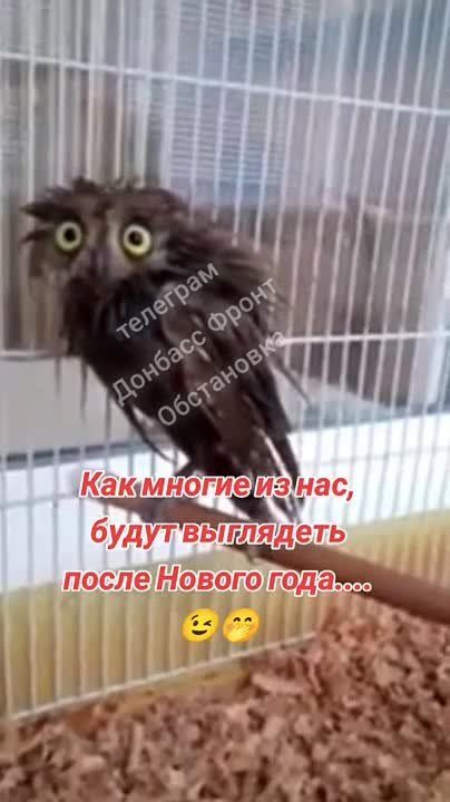 �������� ��� �� �������� ����� ������ ����!