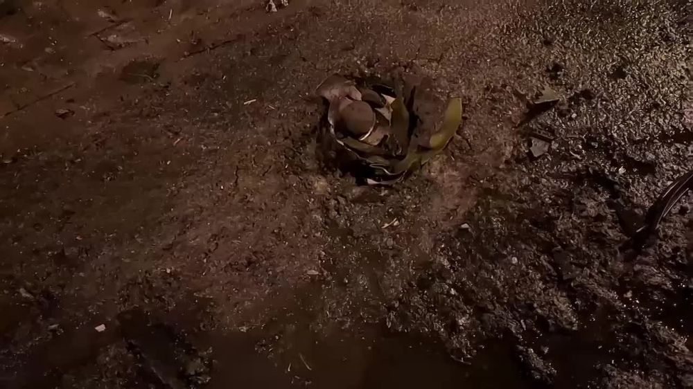 ������ �������: �� ��������� ���� � ������ ������� ������ ����� ���������� �����