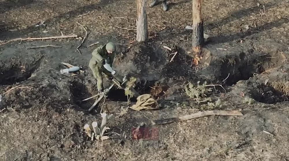 ������� ������. ���� � ������ ����������� ��������� WarGonzo �� ��������� ���
