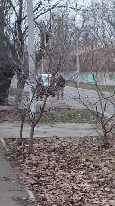 � ������ ����������� ����� �� �� �����