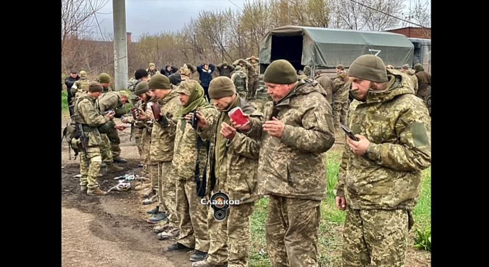 ��������� �������: ������� ����� � ���������, 2022 ���. ������� ������ ������� �������� ������� � ���� ������, ���� ������Ļ