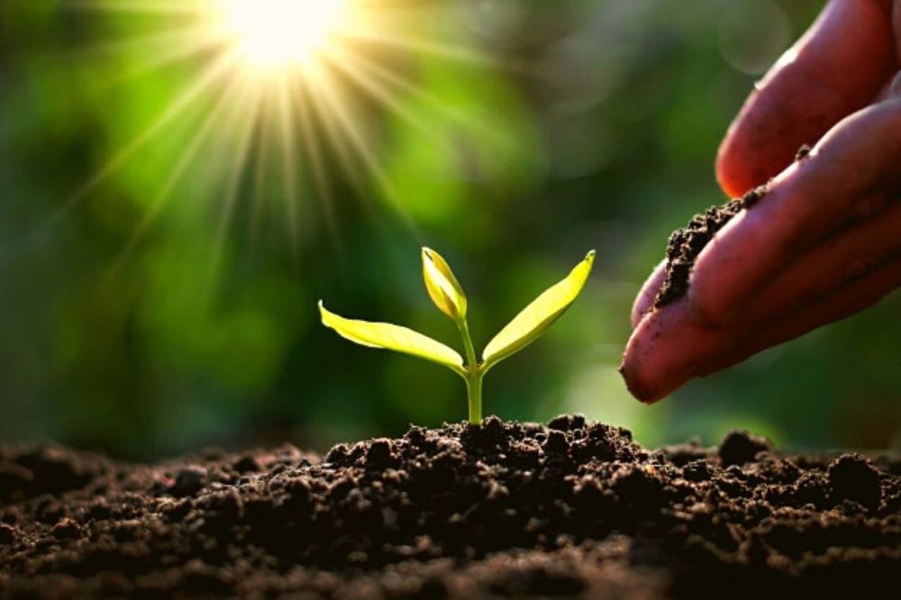 ����-������� ��� �������� ������ �� ������ ������ � ������ ����������������, ��������, ������� � ������� �������� � 2023 ����: