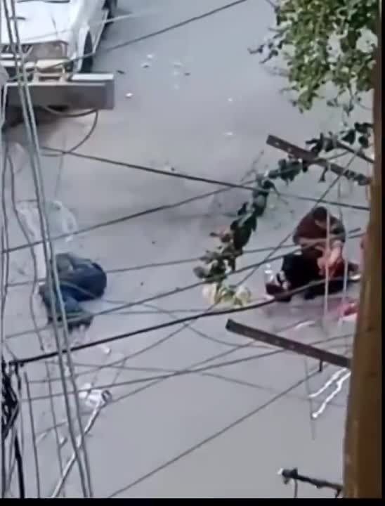 ��������� ������������ ����, ������������ ������������ ���������� �� �����, ������, ����� ��������� �� ������ �������