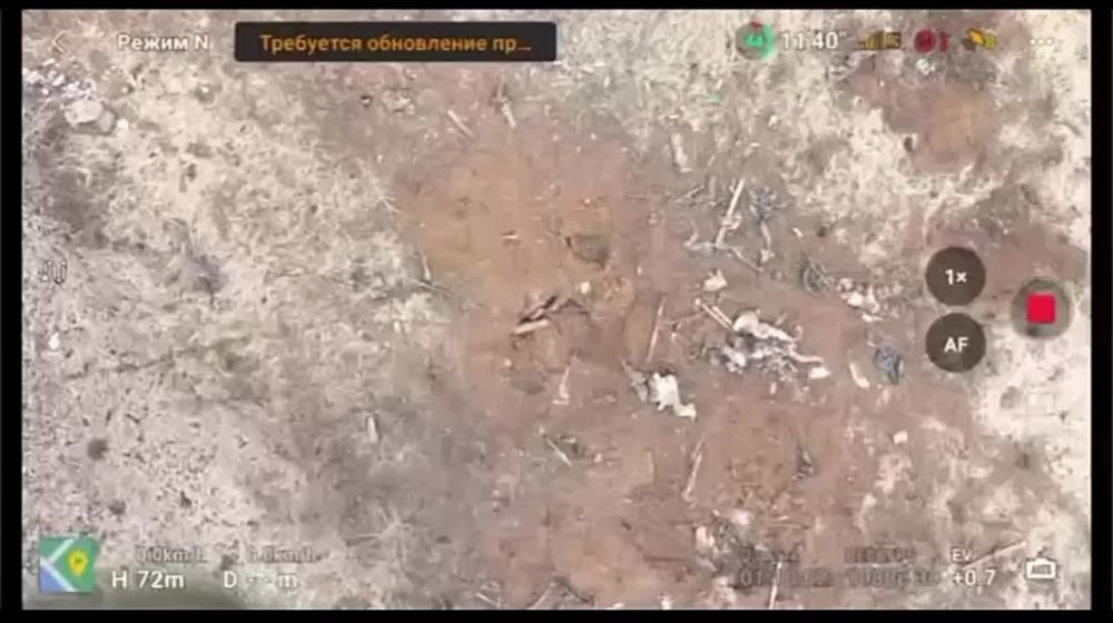 ������ ���������� ����������� �� ����� �� �� ���������, ��������� �����