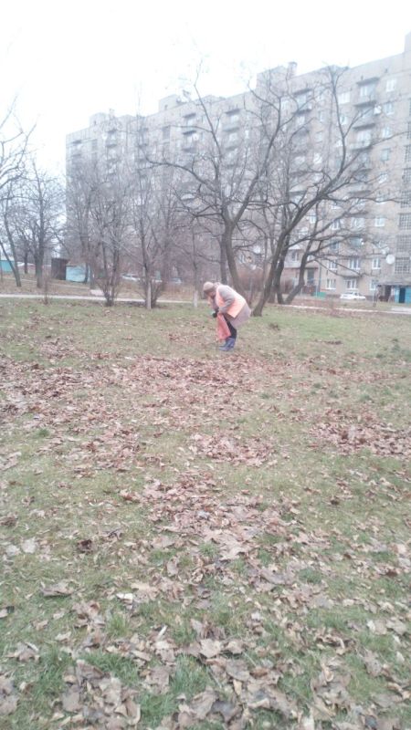 ���� �����������: ������ ������������ ����������� ���� ��������� ������ �� ��������� ������� � ������� �� ���������� �. �������: