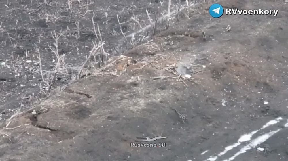 ����� ������� ����� � ���� ����������� � ���������: ������ ����������� ����� ���