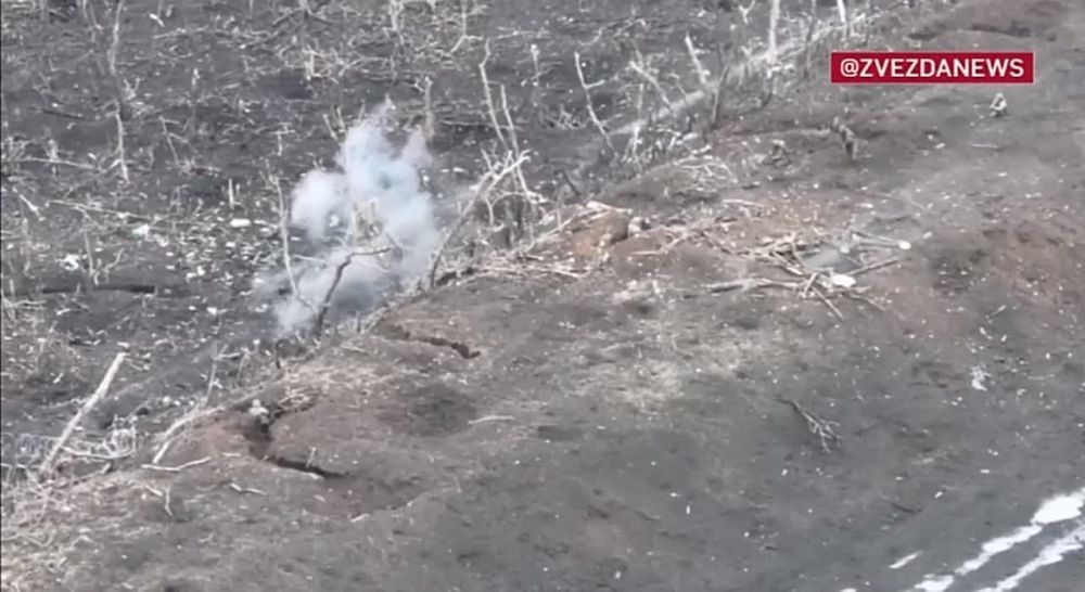 ������� �������: �� ������ ������ �������� ��� ��� �����������