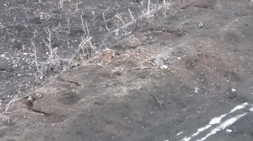 ���������� ���������� ����� ������� ��� � ������-������ �� ����������