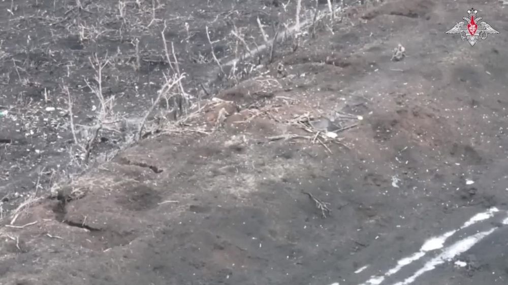 ���� �������: ����������� ������� ����������� � ������-������ �� ���������� � �������� �������� ������ ���