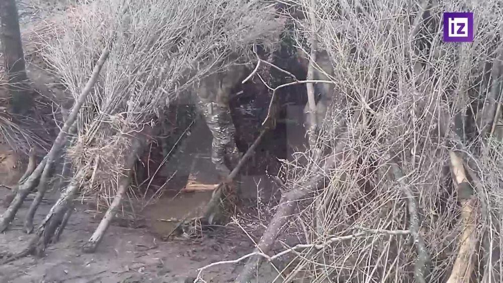 ������� ��� �������� �� �������� �����������