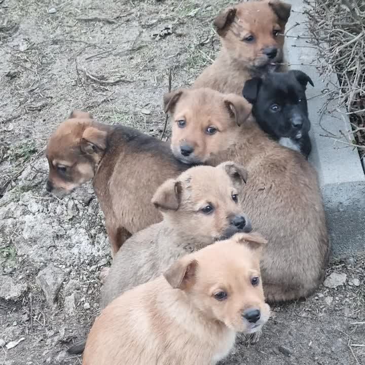 ������� �������: ������, ������ ��������� � ��� ����� �����