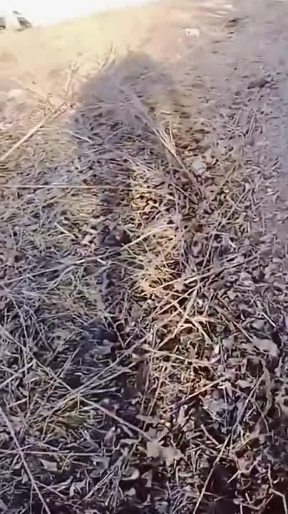 ������ �������: ������ 79 ����� ���������� ������������ �������� ������� �� �������� ������� �������� ���� �� �������� �����������