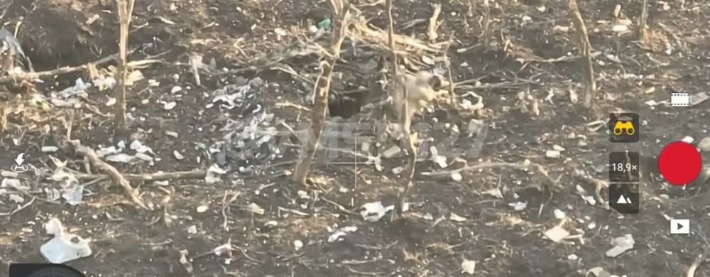 ������� �������: ������� ����� �� ������� ��������� ���-���� �� ����������� ����������� ��������� �������� �� ����������� FPV-�����