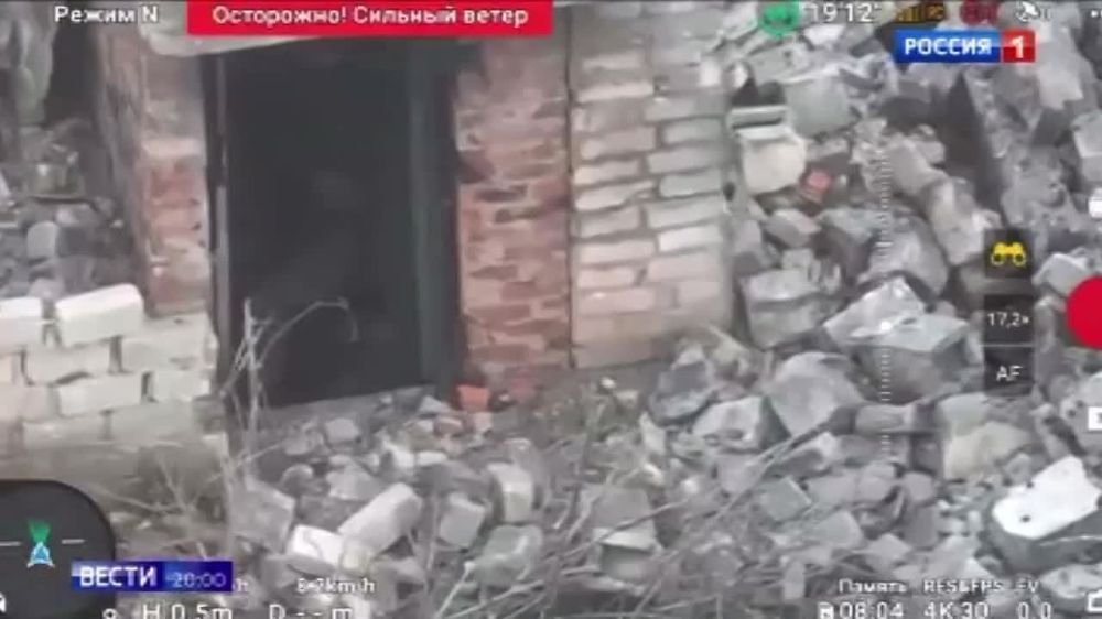 ������ �������: � �������� �� ����-�������� ����������� � � ���, ��� ����� ����������� 49-� ����� �� �� - �������� ���������� ��������