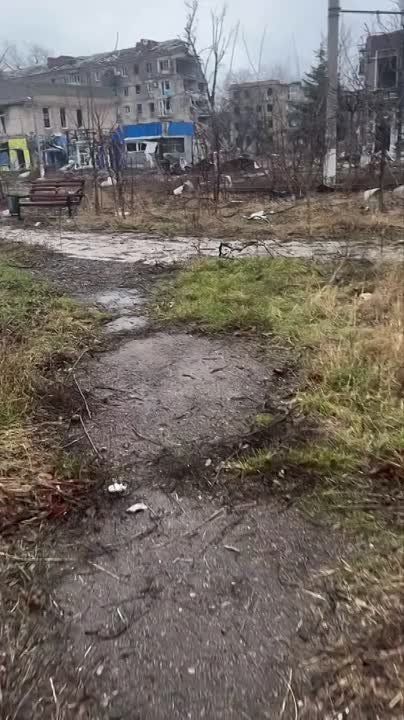 ����� �� ��������.... ����� ������ ���� ����� �����, �� ����������