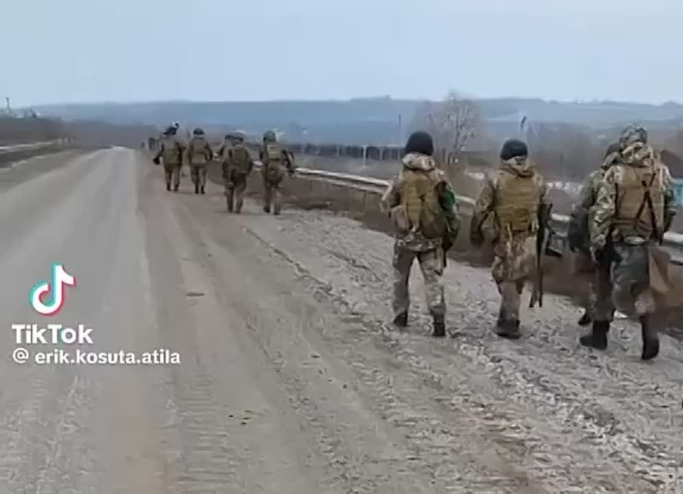 ������� �����: �����, ��� ���� ��������� �� ��������, ������ ������, ���� �� �� ������