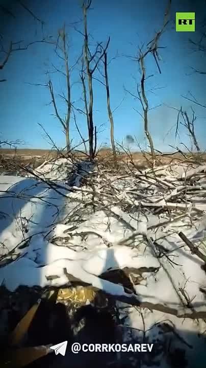 ����� �������: ��������� � ���������. ���� �� �������� ���������� ������ ������ �� ����� ���������� �� ����������� �����������. �����, � ������, ������!